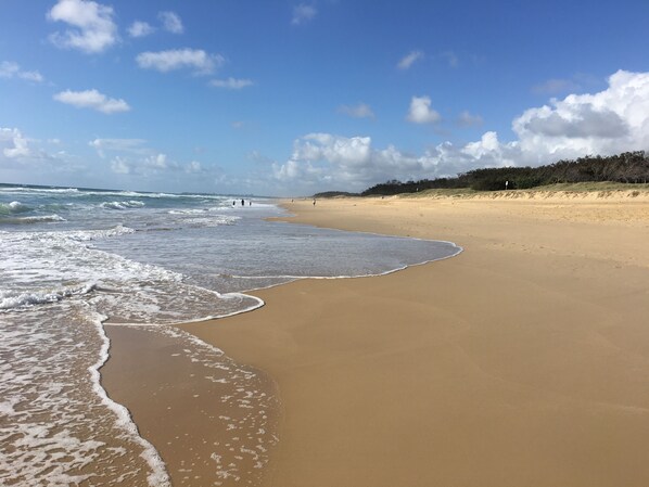 Een strand met golven, een heldere lucht en een verre boomrij.
