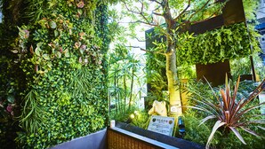A lush indoor garden with various plants and a small tree. - Petit Bali Ikebukuro - Adults Only (Tokyo)