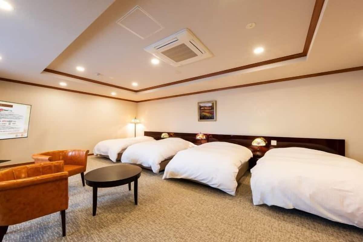 Tallelokero huoneessa, silitysrauta/-lauta, ilmainen Wi-Fi