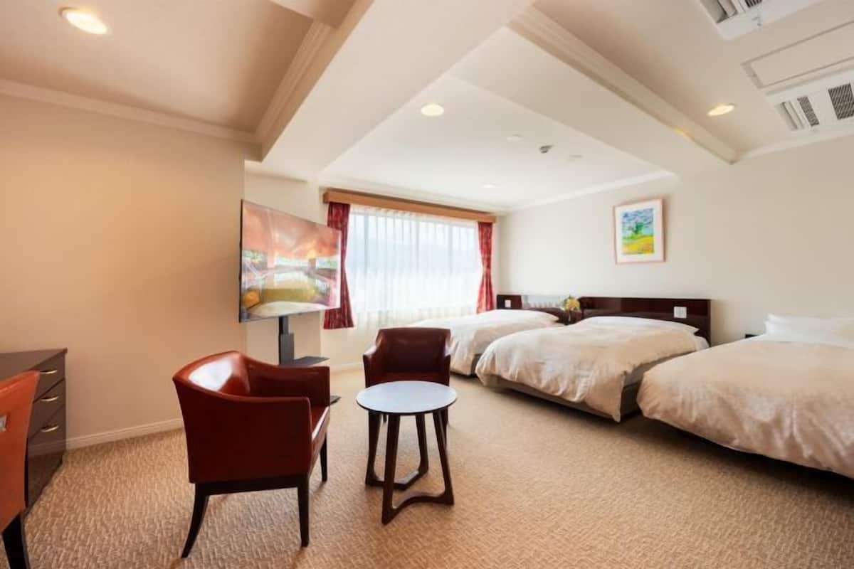 Tallelokero huoneessa, silitysrauta/-lauta, ilmainen Wi-Fi