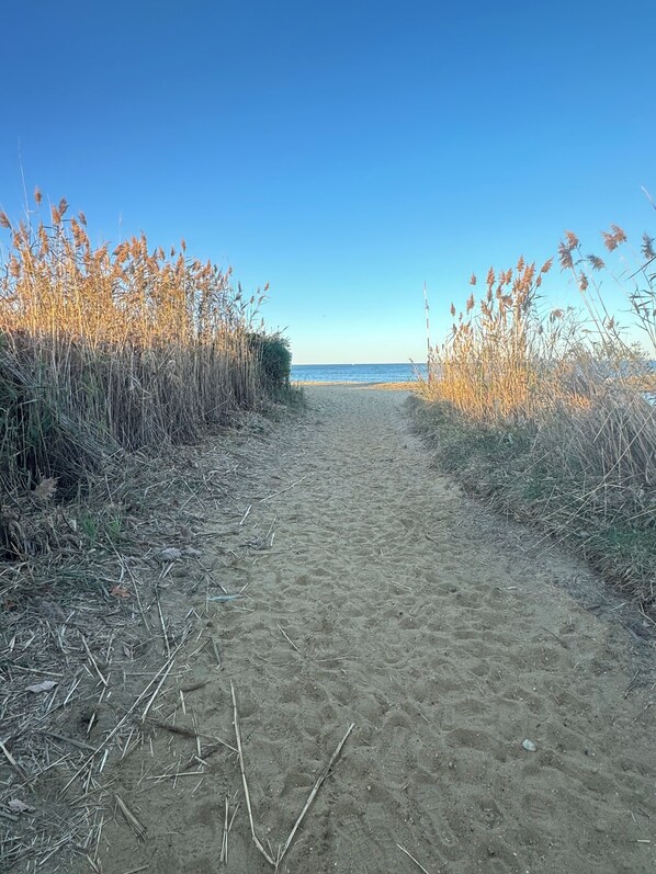 Beach nearby, sun loungers, beach towels
