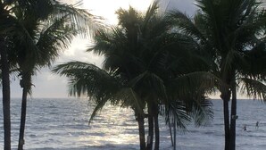 Une plage bordée de palmiers, avec vue sur l’océan.