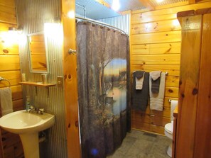 Combined shower/bathtub, hair dryer, towels