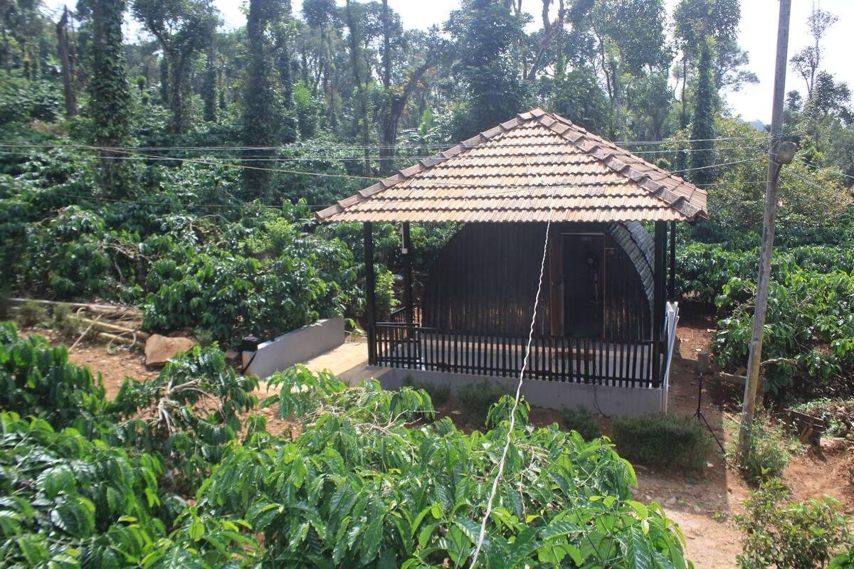 A small, rustic wooden structure with a tiled roof, surrounded by lush greenery and trees.