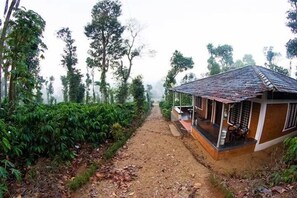 A rustic house with a dirt path leading to it, surrounded by lush greenery and tall trees.
