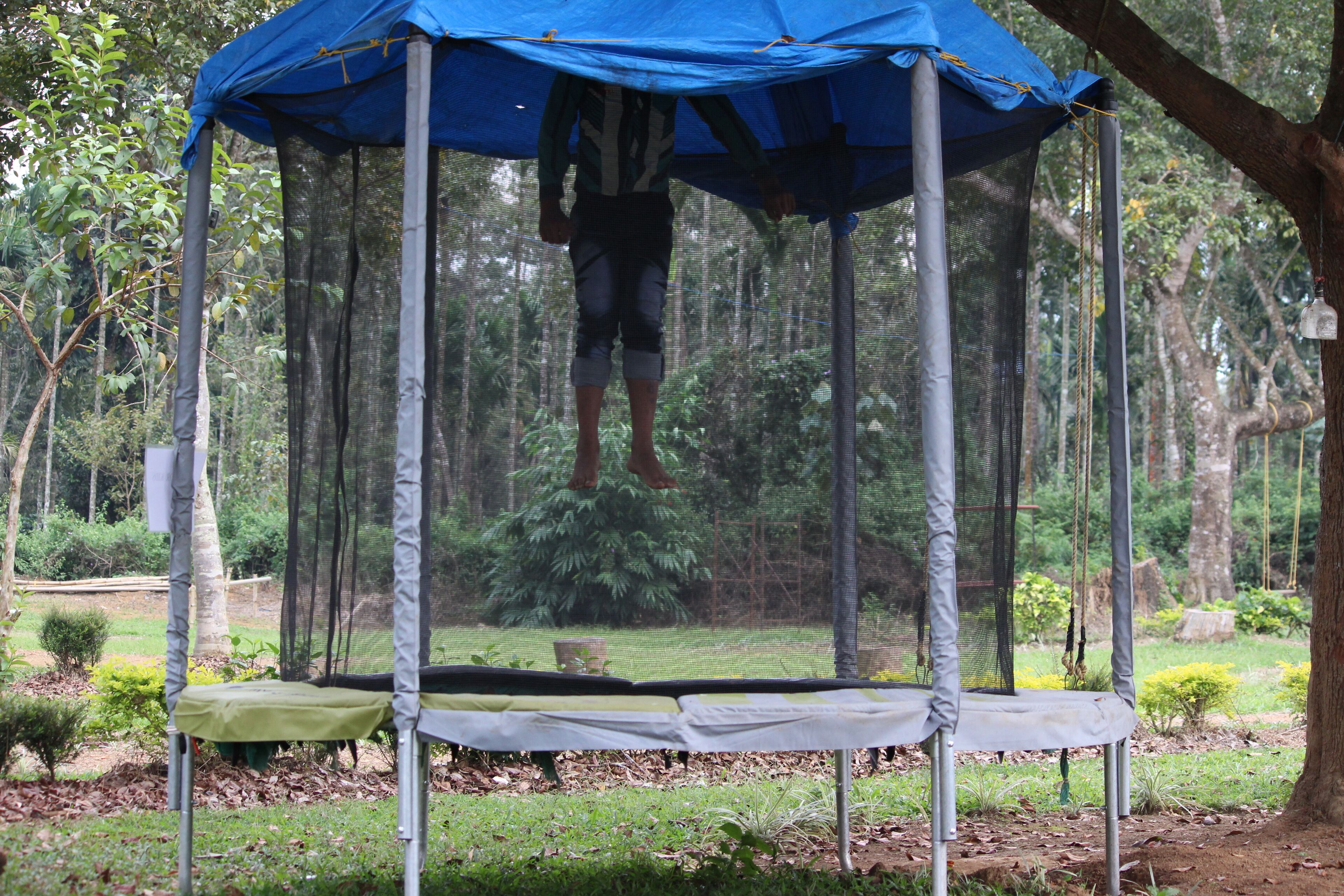 Un trampolín con un dosel azul en un área boscosa.