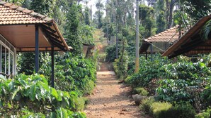 A pathway flanked by lush greenery and traditional-style buildings with tiled roofs. - Muccole Stay (Madikeri)