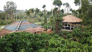 Exterior detail - Muccole Stay (Madikeri)