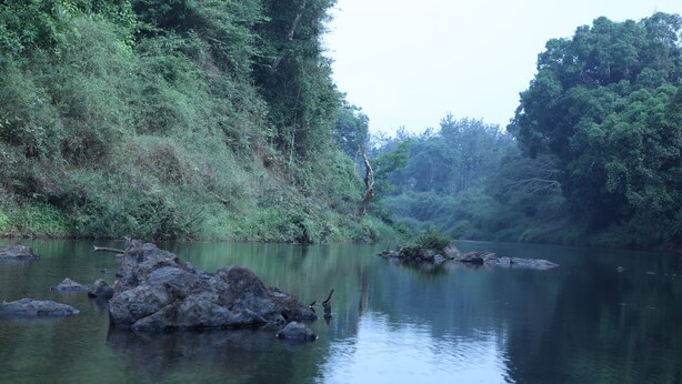 A calm river with rocks and dense greenery. - Muccole Stay (Madikeri)