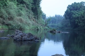 A calm river with rocks and dense greenery. - Muccole Stay (Madikeri)