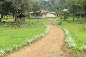 A dirt path leading to a house surrounded by greenery.