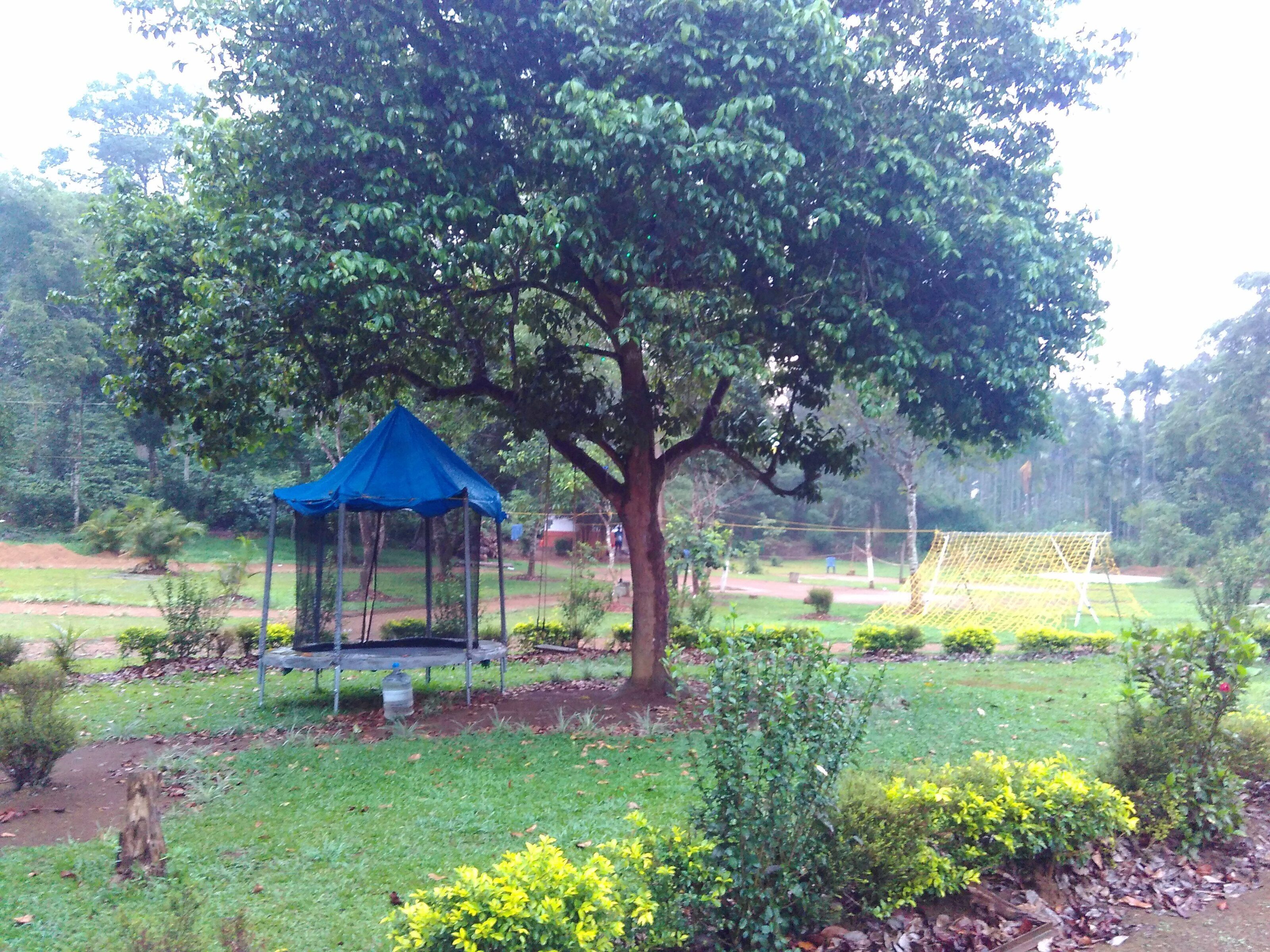 Un parco con un gazebo blu, un albero grande e un pallone da calcio.
