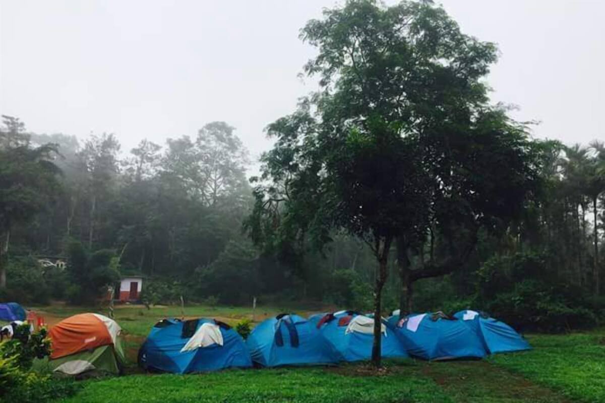 A campsite with multiple tents, a small red building, and a large tree in the center.