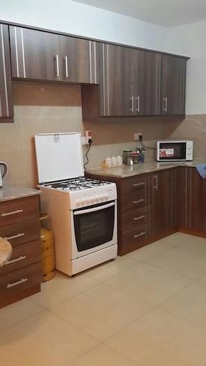 Full-sized fridge, microwave, oven, stovetop