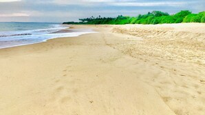 A wide sandy beach with gentle waves, a clear sky, and green vegetation along the shore. - Ashansa Lagoon Resort (Rekawa)