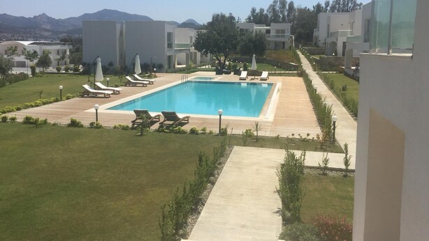 Outdoor pool, pool umbrellas, pool loungers
