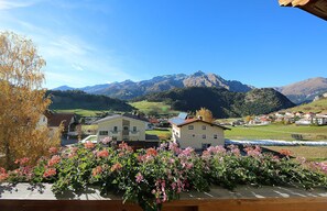 Nicht klassifiziertes Bild, 4 von 40, Schaltfläche