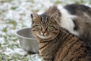 Nicht klassifiziertes Bild, 2 von 40, Schaltfläche