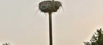 Ferienwohnung am Storchennest - Feriehus