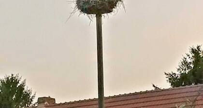 Ferienwohnung am Storchennest - Ferienwohnung