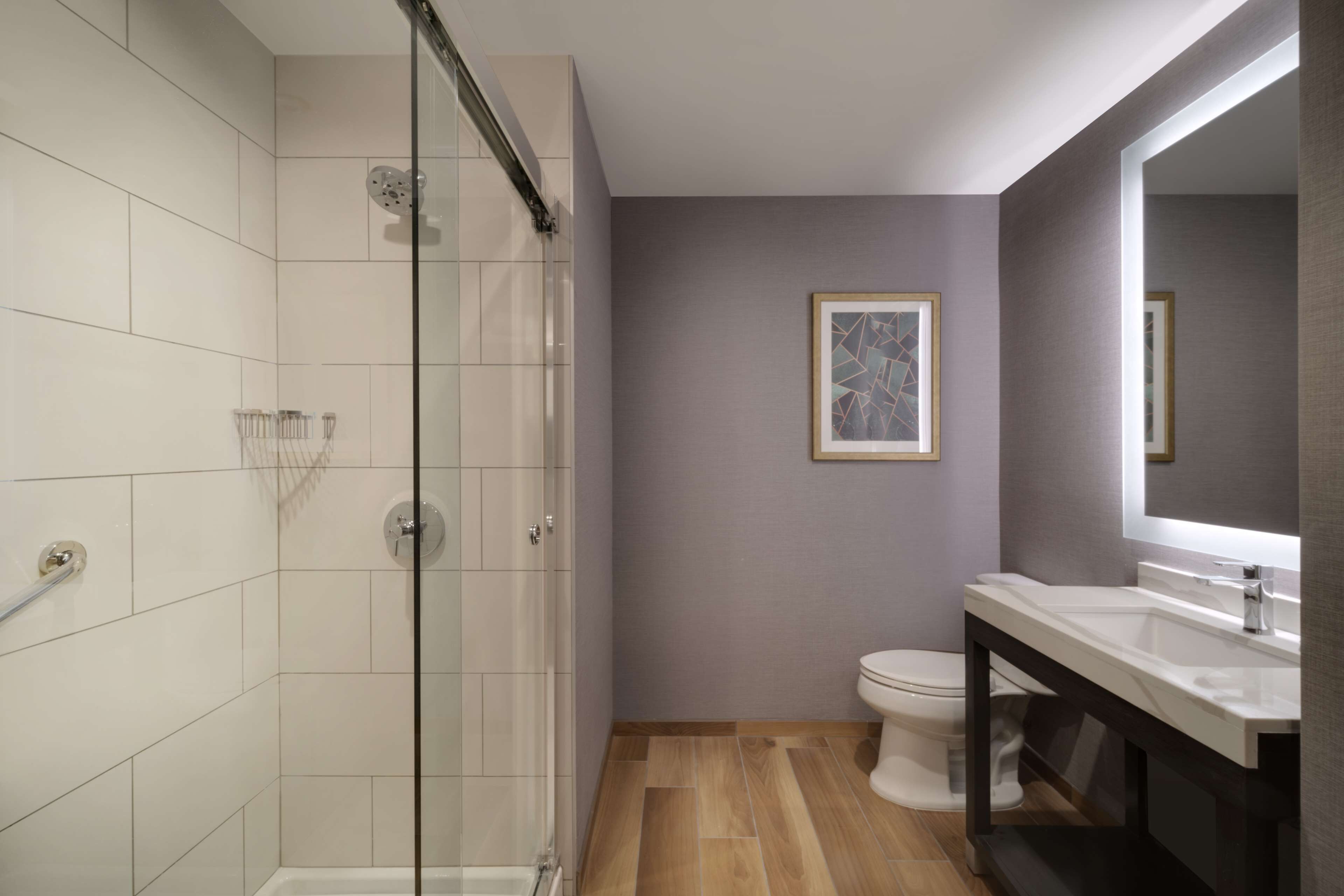 A modern bathroom with a glass shower enclosure, a white toilet, and a vanity with a mirror.