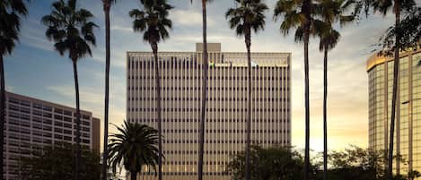 Un hotel de gran altura con fachada de vidrio moderna, rodeado de palmeras y un parque urbano bien cuidado.