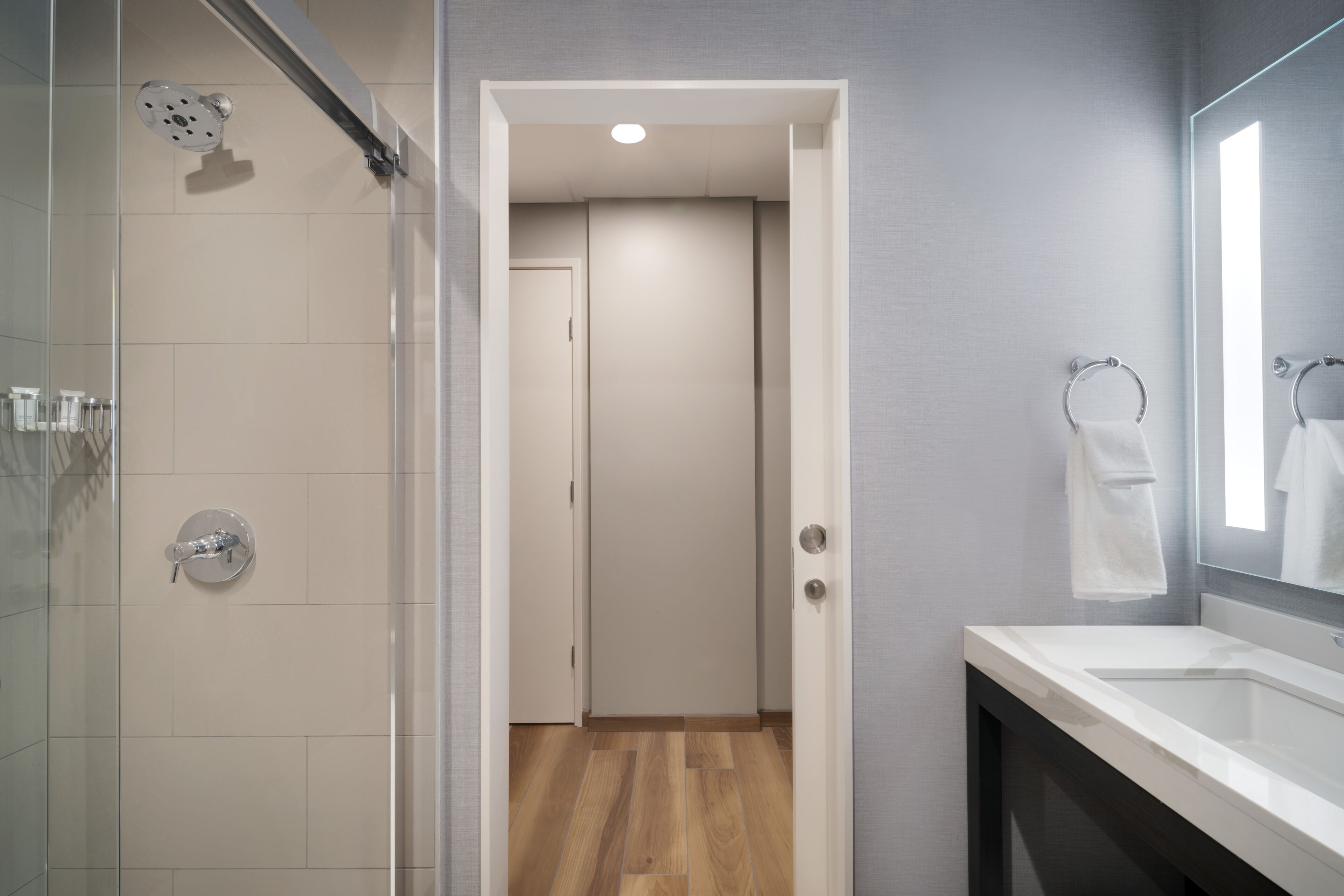 A modern bathroom with a glass shower enclosure, a white sink, and a mirror.