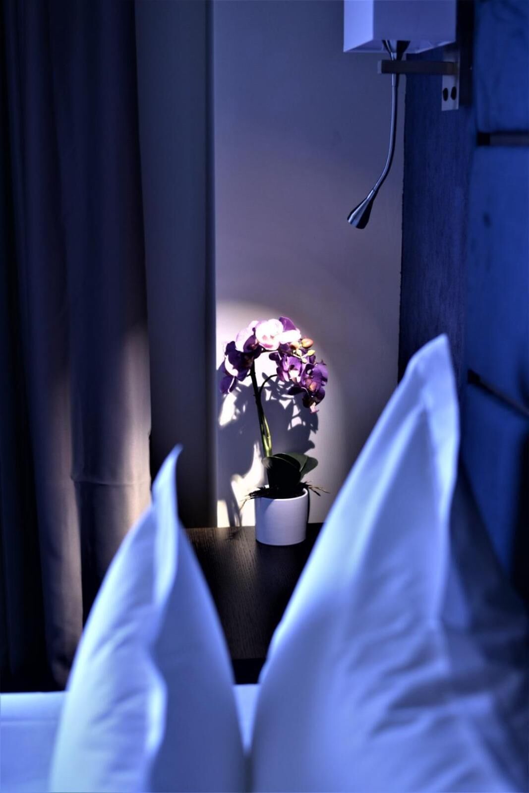 Photo - Old Town Hotel