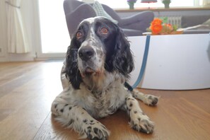 未分类图片,第 4 张,共 18 张,按钮