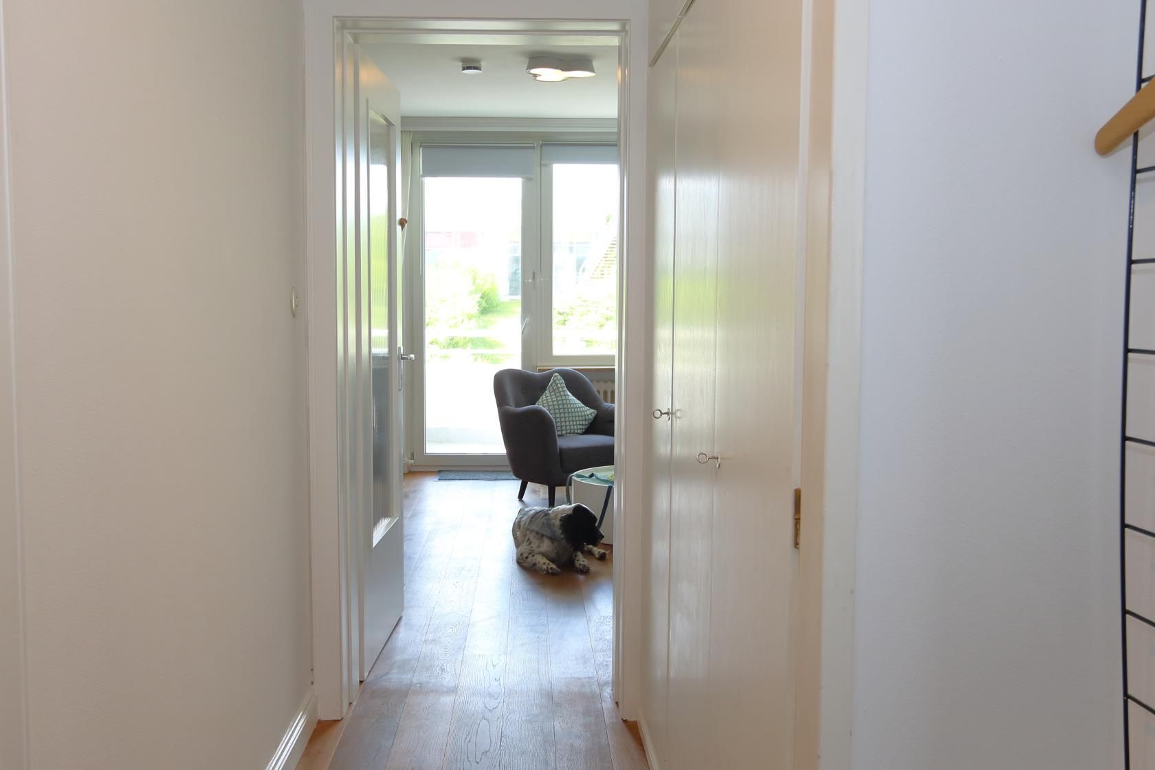 Een gang die leidt naar een kamer met een stoel en een hond.