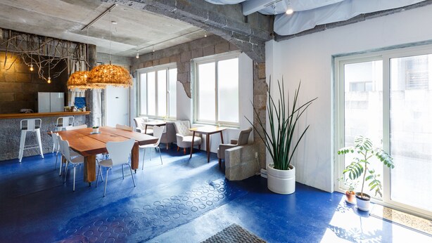 A modern interior with a wooden dining table, white chairs, a large potted plant, and large windows allowing natural light. - Hostel NABLA (Niijima)