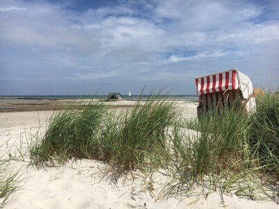 Apartment near the Baltic Sea