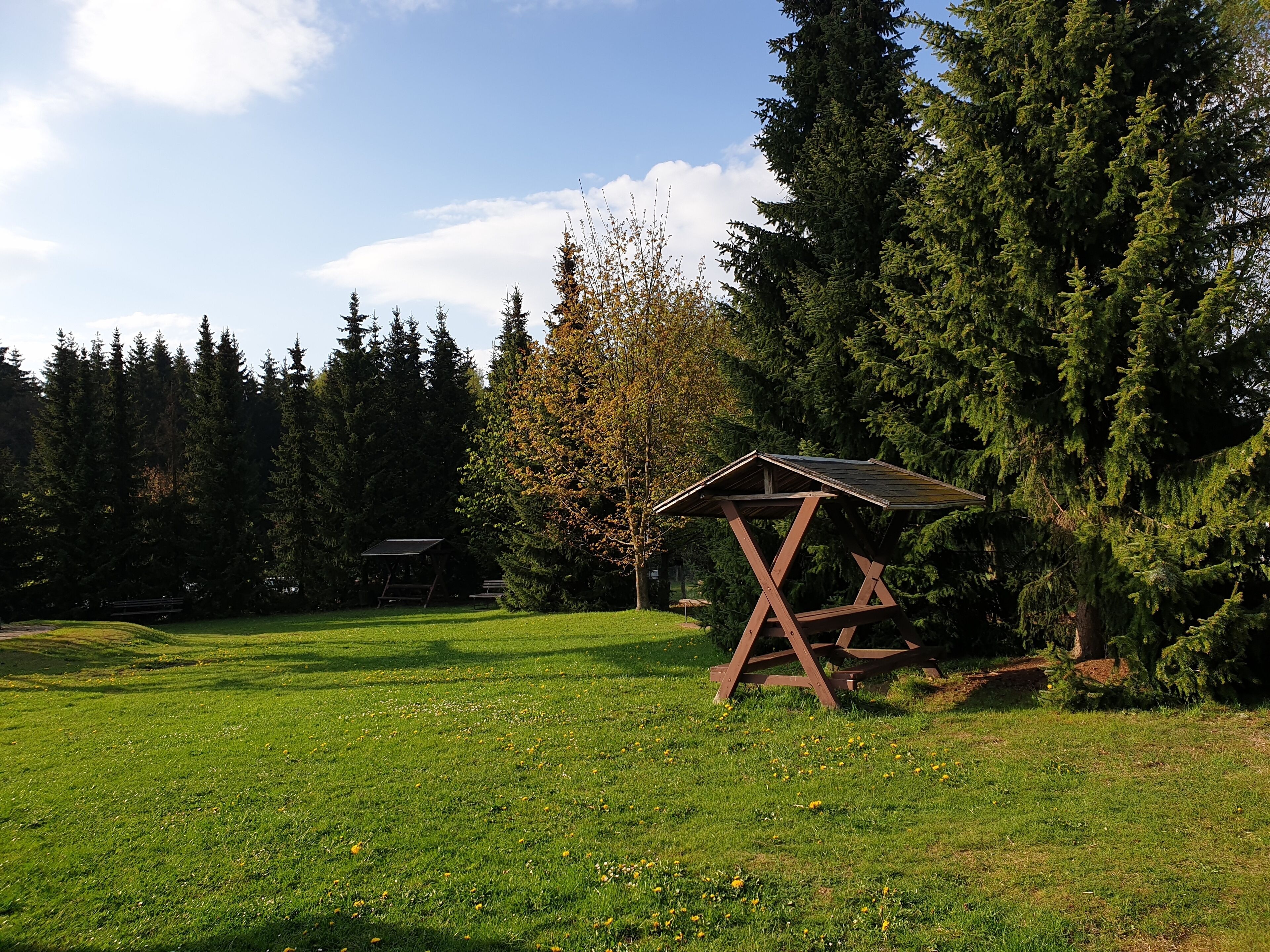 A wooden observation tower with a sloped roof in a grassy field surrounded by dense evergreen trees.