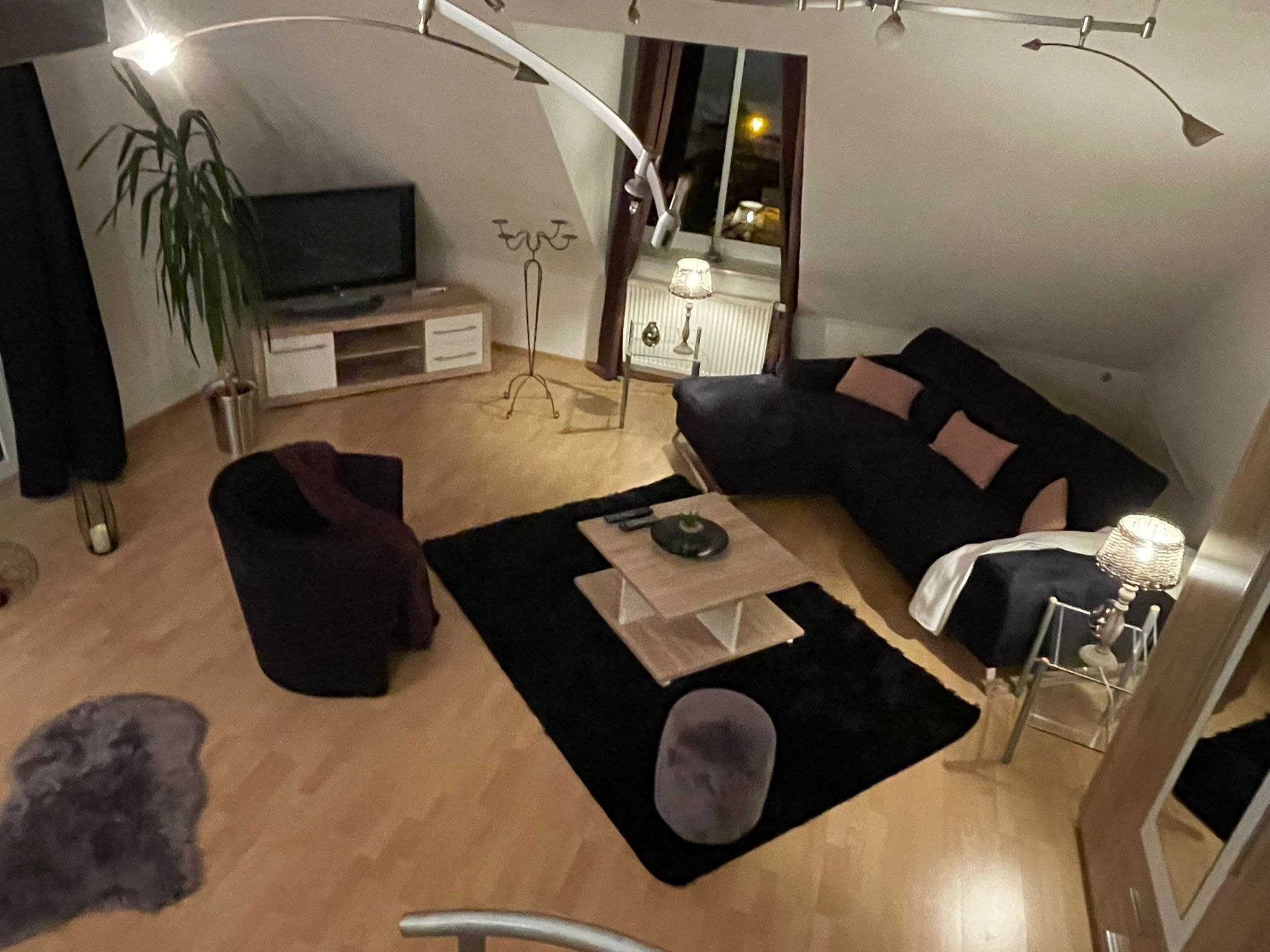 A compact living space with a sofa, a coffee table, a TV, and a plant.