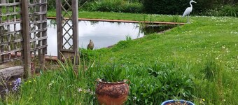 Garden Cottage in stunning rural location but only 5 minutes from Taunton.