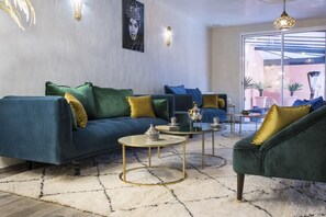 TV, books, video library, stereo - Riad SPA Tours Les Portes de l'Orient (Tours)