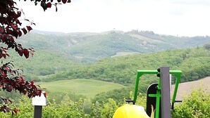 A yellow rose in a garden with a green exercise machine and a solar panel in the background. - San Lorenzo Agriturismo (Buonconvento)