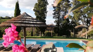A swimming pool with lounge chairs and a thatched-roof gazebo. - San Lorenzo Agriturismo (Buonconvento)