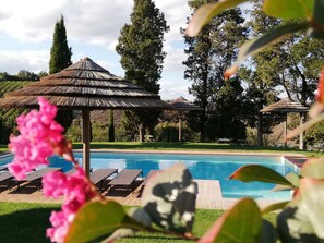 Piscine extérieure (ouverte en saison)