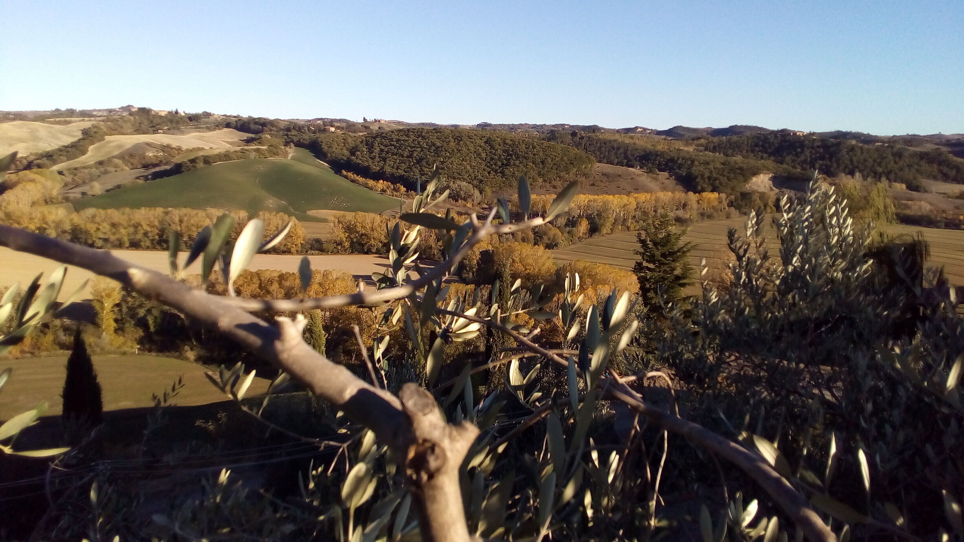 A landscape with rolling hills, a clear sky, and sparse vegetation.