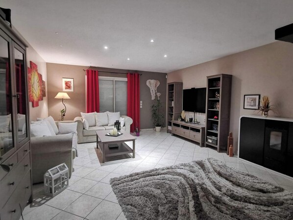 TV, fireplace, video games, DVD player