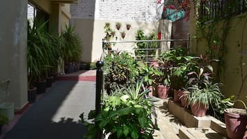 Área da propriedade