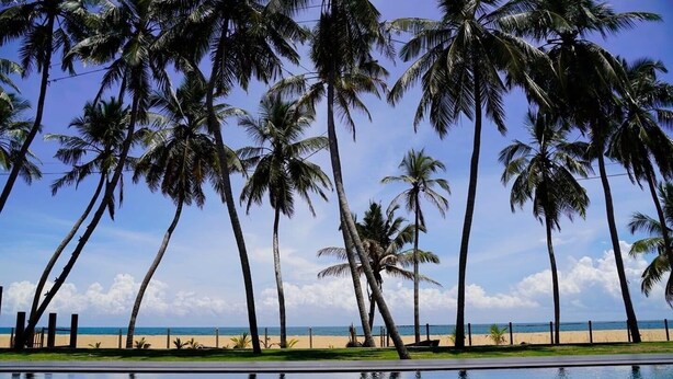 A poolside view with tall palm trees and a clear view of the beach. - Soluna Beach Resort (Marawila)