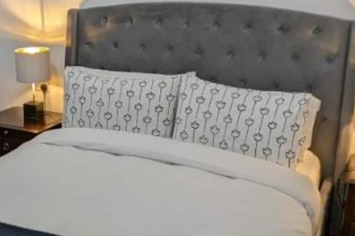 Habitación ejecutiva doble, baño privado | 1 dormitorio