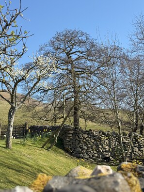 Property grounds - Howgills Barn | Self-catering accommodation in Yorkshire | Countryside location (Sedbergh)