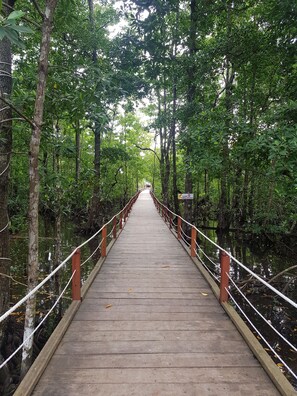 A wooden bridge with railings, surrounded by dense greenery and trees. - Korpak Villa & Resort Raja Ampat (Waisai)