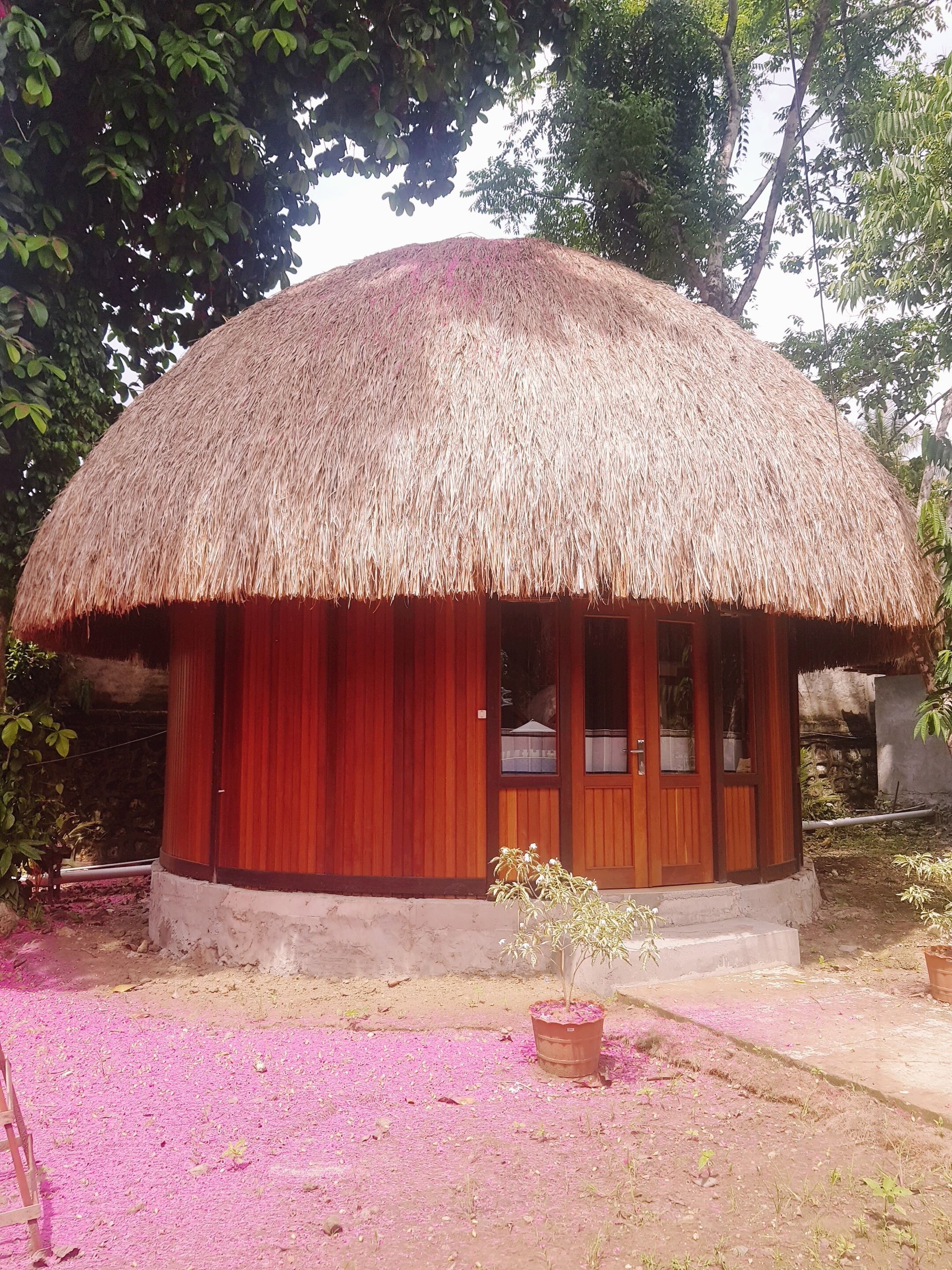 Una cabaña con techo de paja, puerta de madera y cortinas rojas, rodeada de plantas en macetas y pétalos de flores rosados en el suelo.