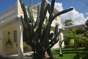 Detalle exterior