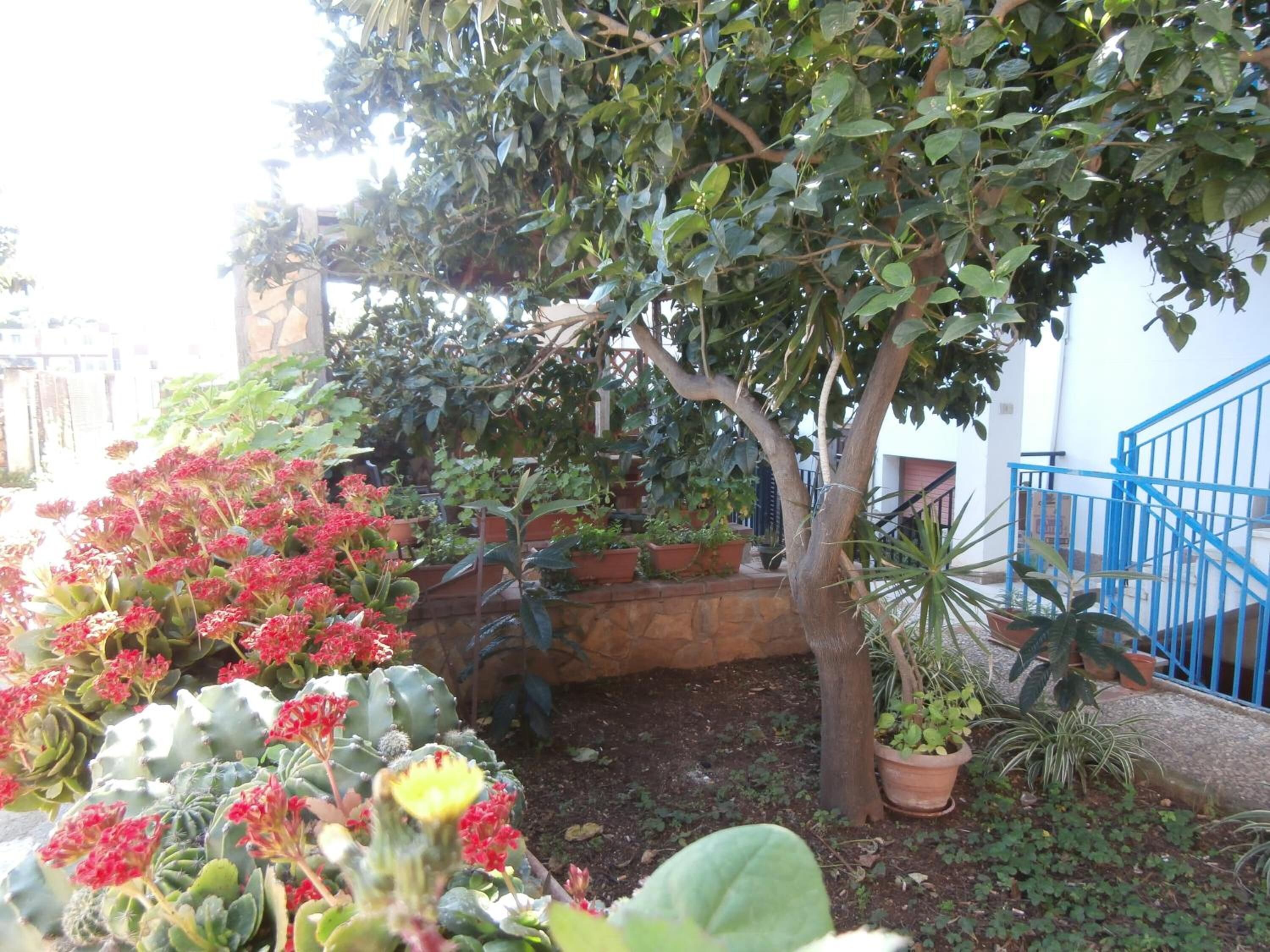 A garden with various plants and a tree, a blue railing, and a stone wall.