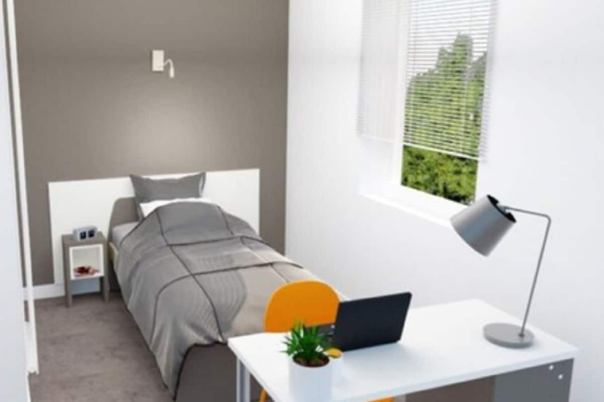 A modern bedroom with a bed, bedside table, lamp, and a window with a view of greenery.